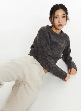 Crew Neck Knit Sweater IN308 Crew Neck Knit Sweater IN308