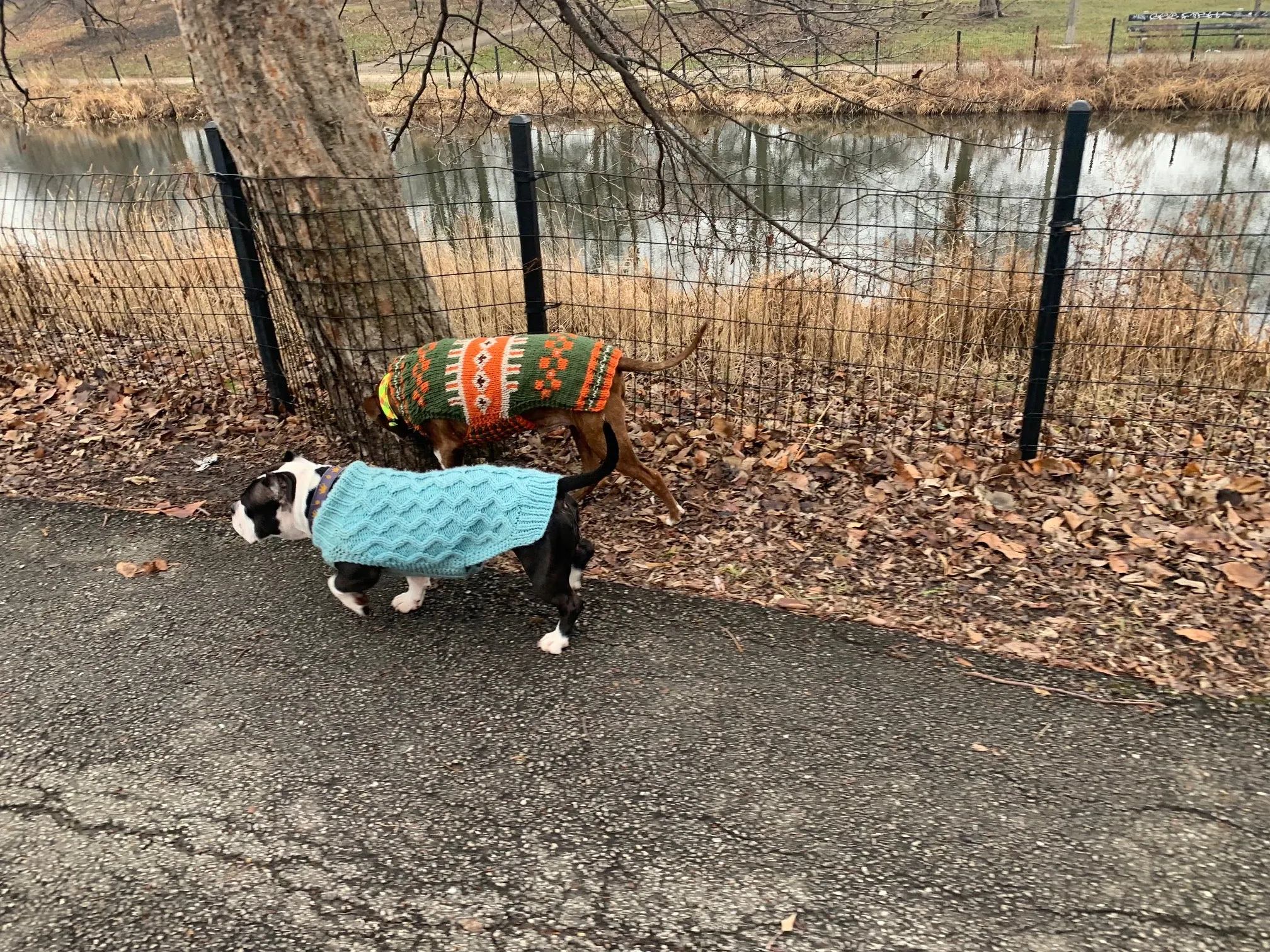 Hand Knit Dog Sweaters
