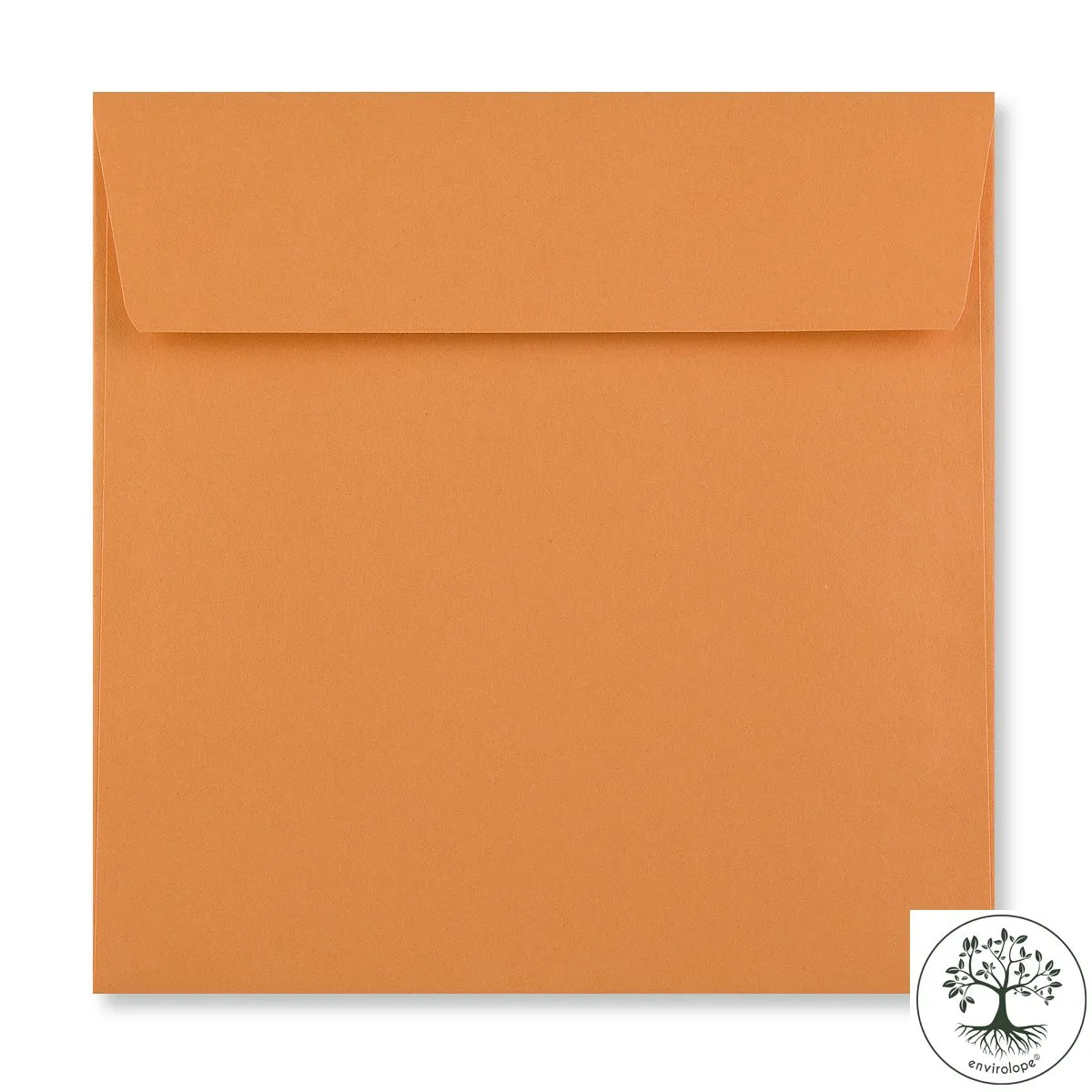 Tangerine Orange Envelopes by Clariana