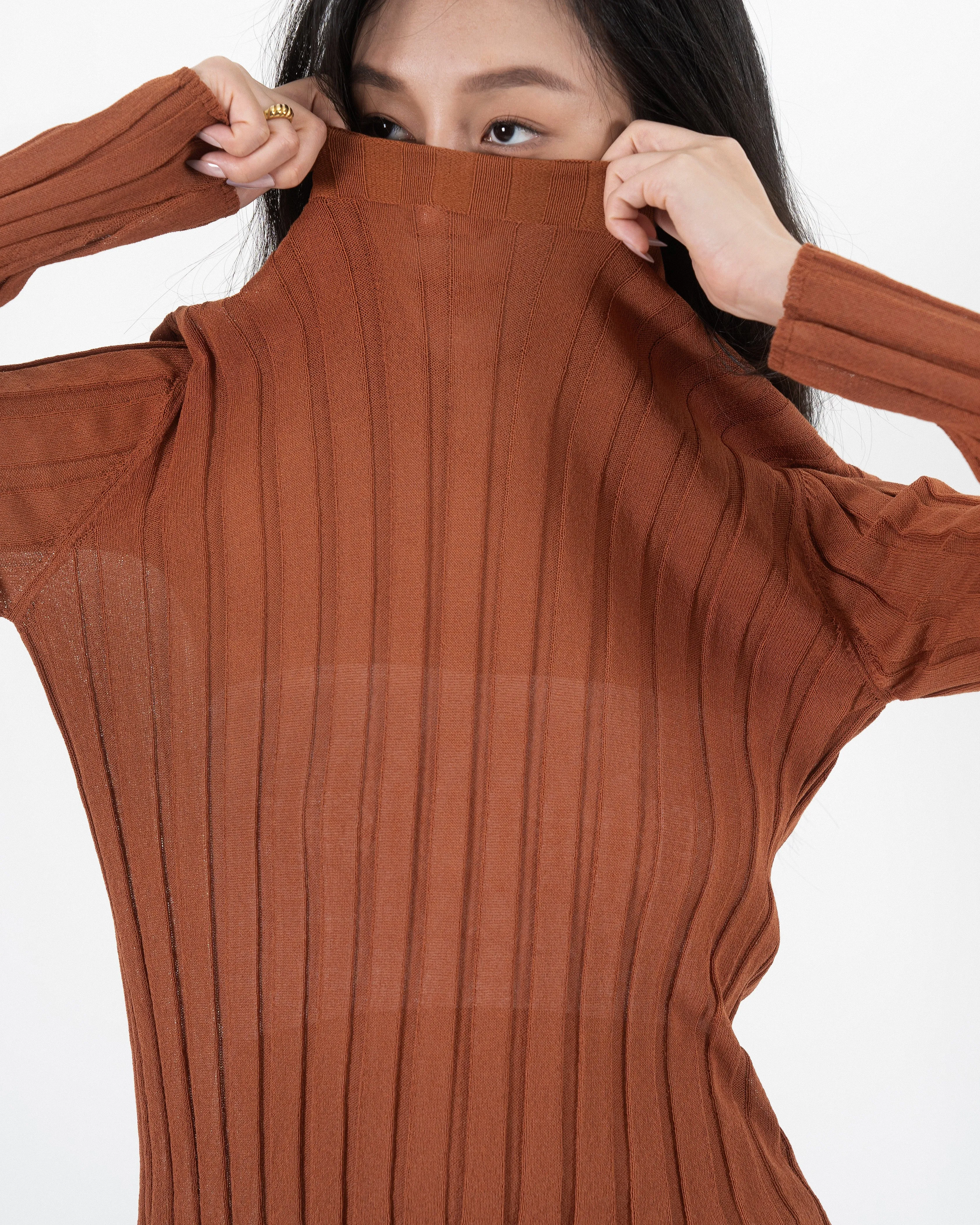 Turtleneck Sheer Ribbed Knit Top (Rust)