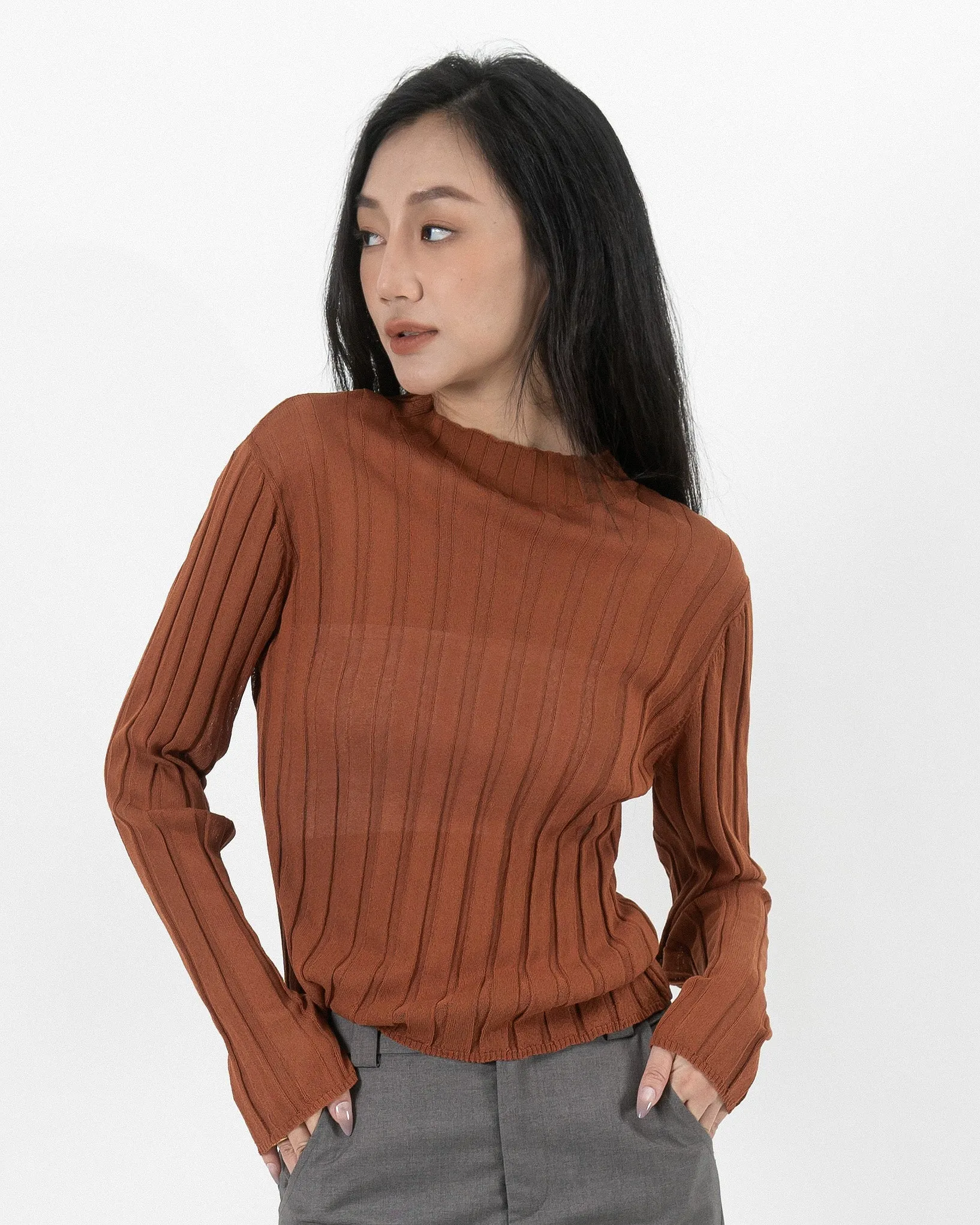 Turtleneck Sheer Ribbed Knit Top (Rust)