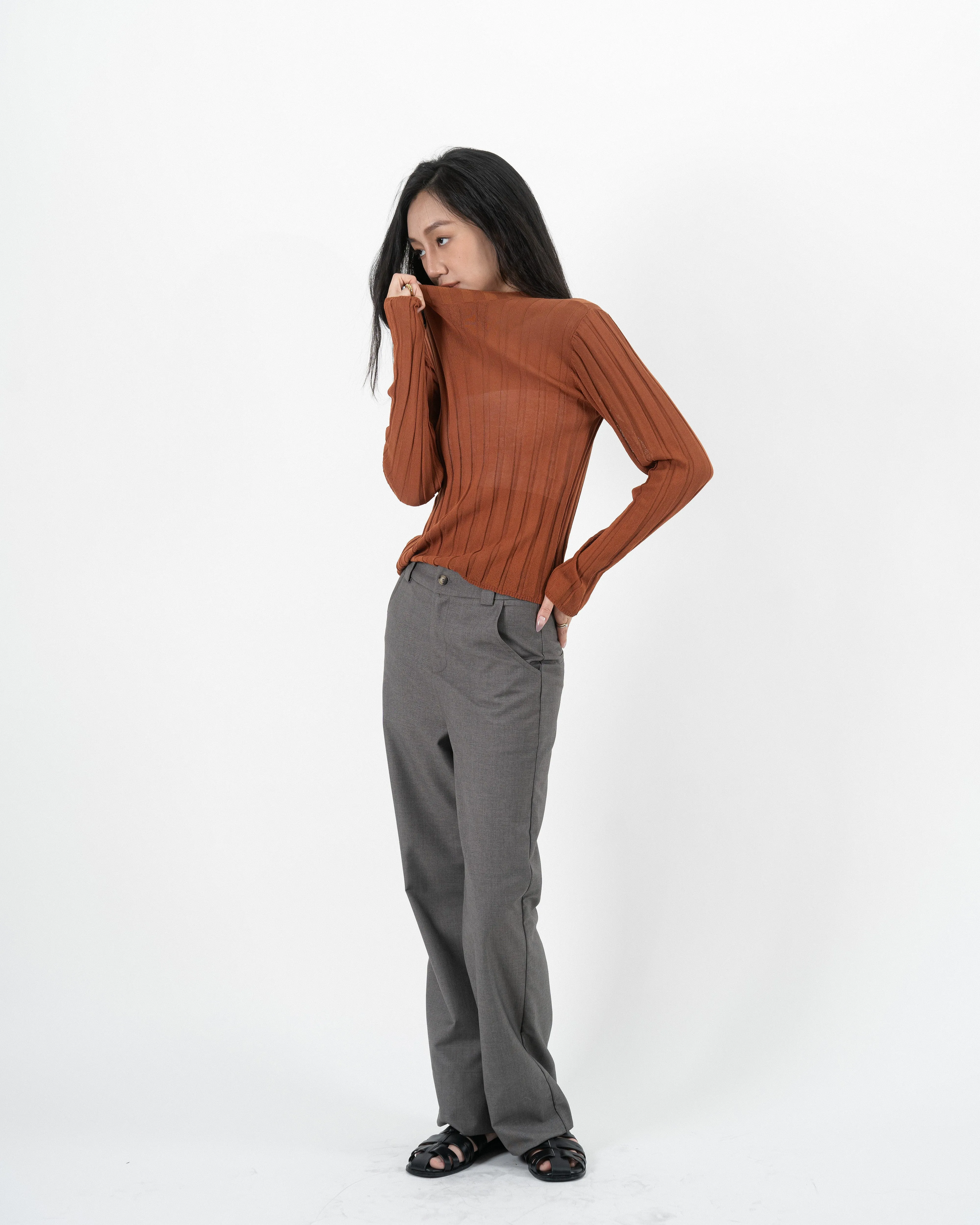 Turtleneck Sheer Ribbed Knit Top (Rust)